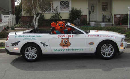 COOL CAT CONVERTIBLE
