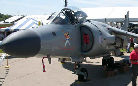 COOL CAT HARRIER JET